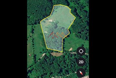 Teren Construcții extravilan de 23000 mp, în Valea Doftanei - 2