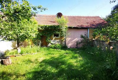 De vanzare casa in Buzad- 709 De vanzare casa in Buzad- 709 - 12