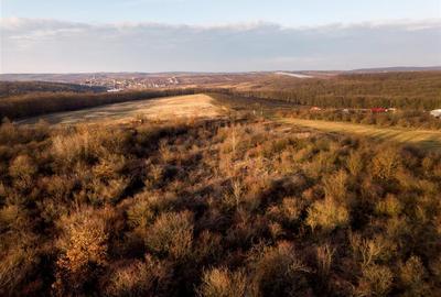 Teren intravilan de 4333 mp, în Săldăbagiu de Munte - 10