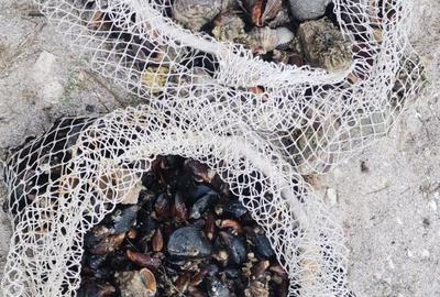 Vanzare 10000 mp plaja virgina,Constanta Vadu la Cherhana Bosoanca drum pietruit - 7