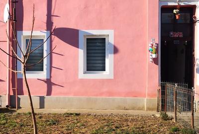 Casa de vanzare in Lugoj - 1
