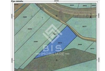 Teren Intravilan - Viisoara - 14