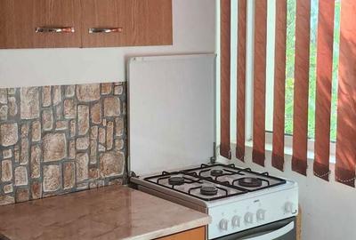 Apartament cu 2 camere semidecomandat în Exterior Vest - 1