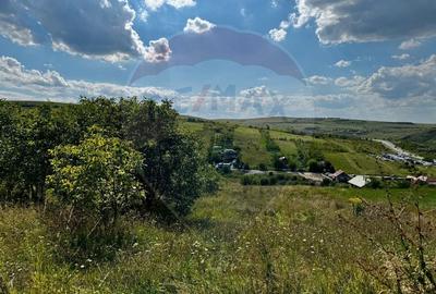 Teren de vânzare – 2.900 mp, Dezmir | Acces la două străzi, Comision 0 - 3