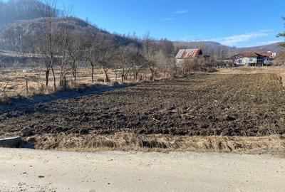 Teren de 1500 mp, în Central - 2
