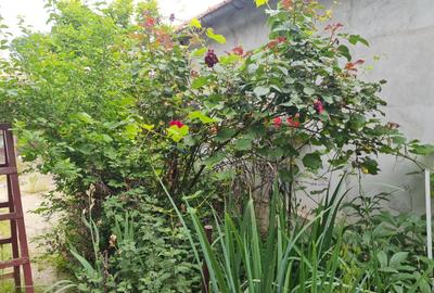 Casa individuala Voluntari zona Metro superpret!!! - 8