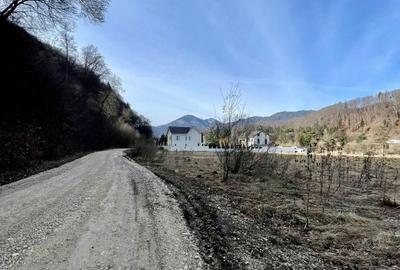 Teren de vanzare Bunloc - 2