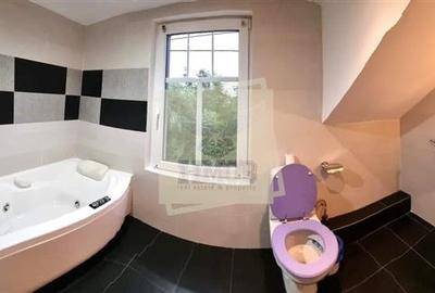 Casa individuala 4 camere 2 bai si garaj in Gusterita - 7