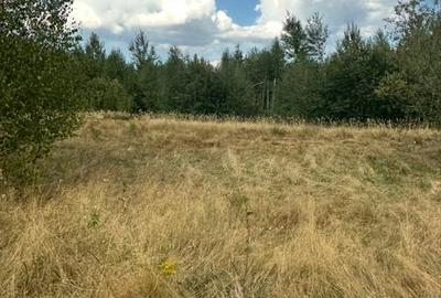 Teren de 1000 mp, în Breaza - 4