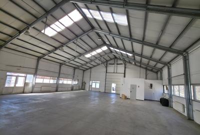 Spațiu industrial, în Zorilor - 1