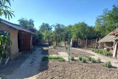 Vand casa Ramnicelu Braila 3000 mp - 2