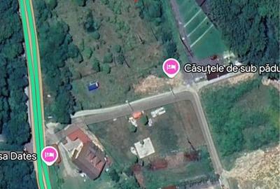 Spațiu comercial, în Cârțișoara - 6