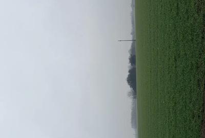 Teren de 10000 mp, în Balta Doamnei - 2