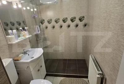 Apartament cu 2 camere semidecomandat în Terezian