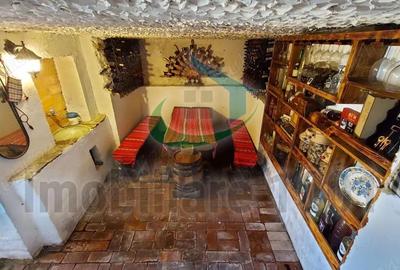 Casa D+P+M, zona Parc Municipal Regina Maria, teren 308 mp - 10