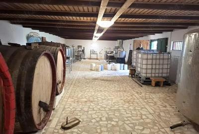 Crama de vanzare Odobesti -Vartescoiu - 10