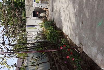 Casa la curte de vanzare in Voluntari - 6