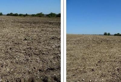 Teren de 5000 mp, în Valu lui Traian - 7