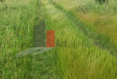 Teren în Colentina - 5