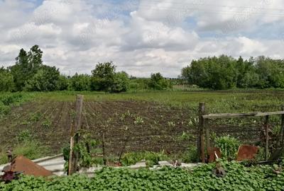 Casa batraneasca cu anexe si teren Loturi Enescu Dorohoi - 2