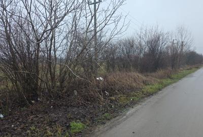 Teren 5000 mp 1 decembrie - strada Oituz - 7