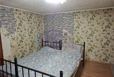 Pantelimon - Tuborg - 3