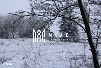 Teren de 20000 mp, în Berislăvești - 2