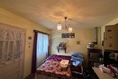 De vanzare GOSPODARIE in BUDESTI/ Maramures - 8