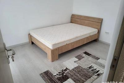 Apartament cu 2 camere semidecomandat în Buziașului - 4