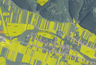 Zarnesti, str. Barsei, intravilan, priveliste Piatra Craiului, PUZ aprobat - 10