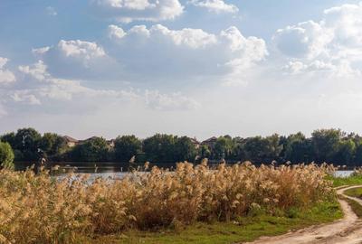 Casă cu 4 camere cu Teren 450 Mp în Central - 6