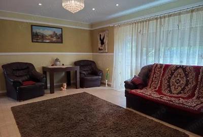 Casă cu 6 camere în Mintia - 1