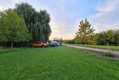 Spațiu comercial, în Joița - 5