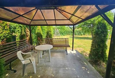 Casă cu 6 camere cu Teren 1632 Mp în Albești - 6