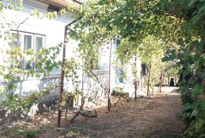 Casă cu 3 camere în Iancu Jianu - 6
