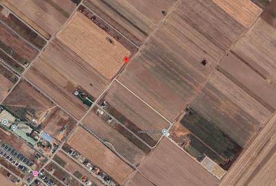 Teren agricol extravilan de 1660 mp, în Berceni - 4