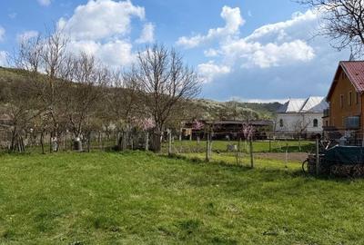 Casă cu 3 camere în Petrești