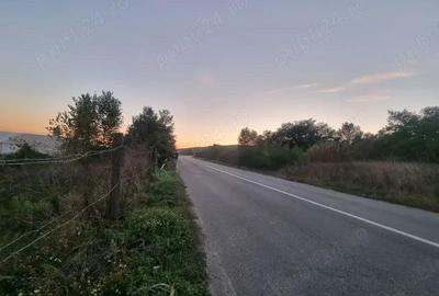 Teren intravilan pretabil pentru constructii HALE - BIROURI, Targu Jiu, strada Barajului (Centura) - 3