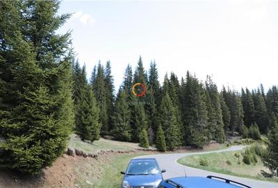 Terenuri speciale Padina Busteni - 5