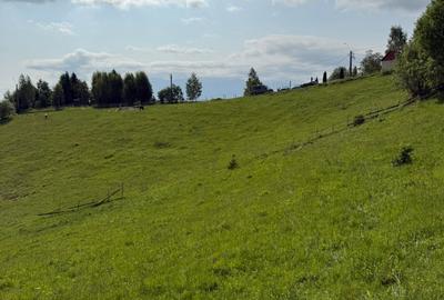 Teren intravilan  Pestera Brasov, 11908 mp - 6