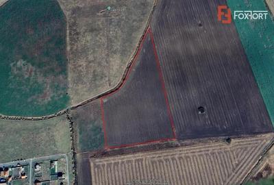 COMISION 0% Teren Extravilan Agricol, Beregsau Mare - Zona in dezvoltare - 5