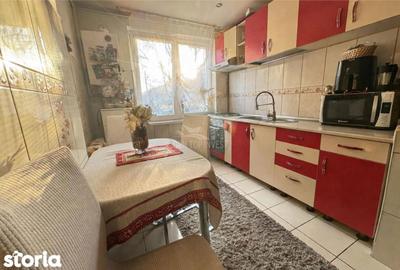 Apartament cu 2 camere, mobilat în Terezian - 2
