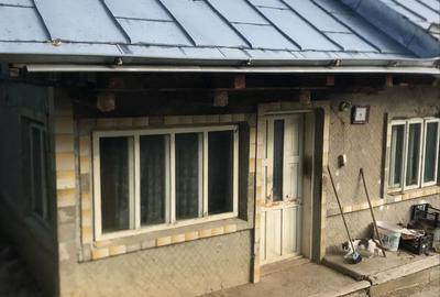 Casă cu 5 camere în Bleșca - 1