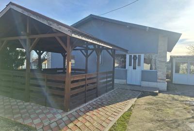 Casă cu 3 camere cu Teren 485 Mp în Frătești - 9