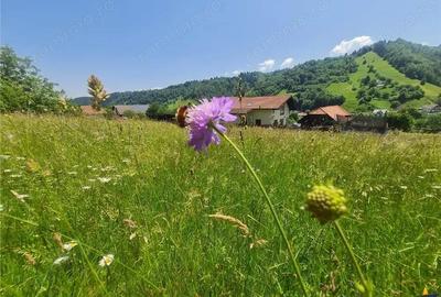 Deschidere spre crestele alpine+ documentatie turistica,4.400 mp de inspiratie naturala - 2