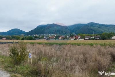 Teren de 790 mp, în Baciu - 2