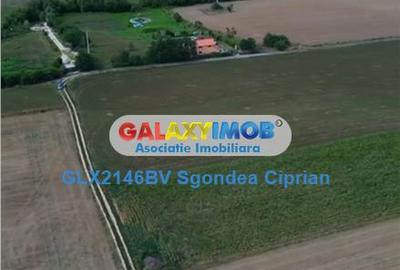 Teren de 1633 mp, în Feldioara - 4