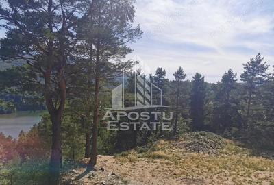 Teren de 2000 mp, în Văliug - 3