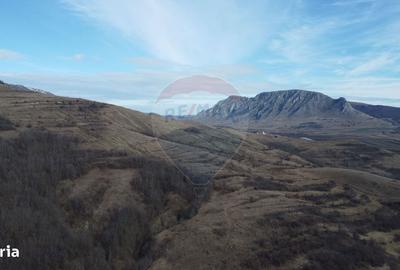 Spațiu comercial, în Izvoarele - 3
