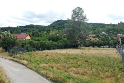 TEREN - VLADESTI, 2089 MP - 5